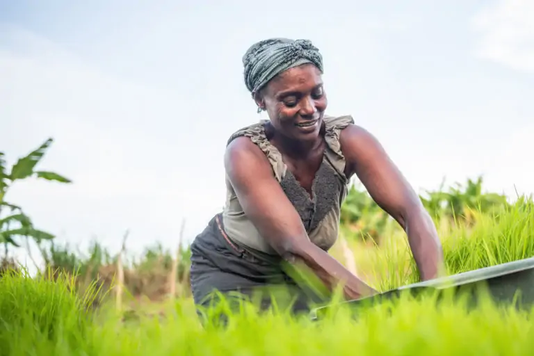 food security header