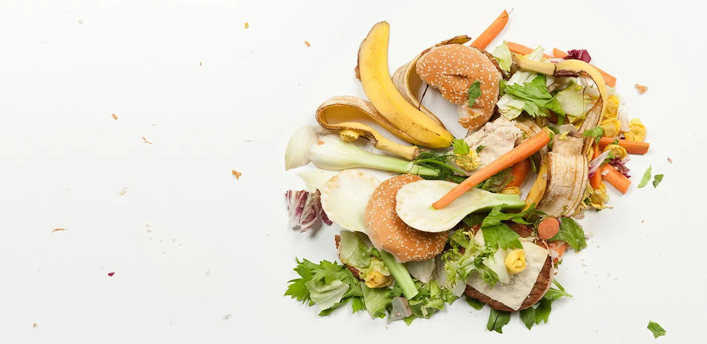 food waste consultants header