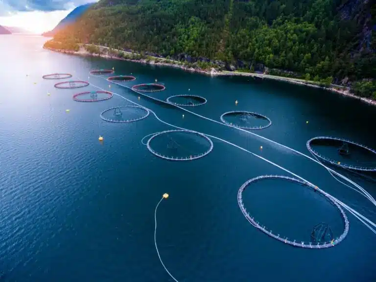 aquaculture header