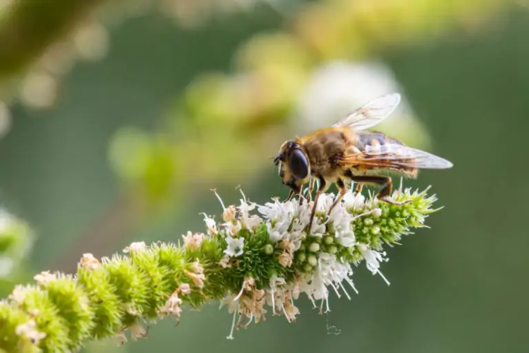 food production header