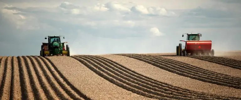 Agricultural market research header