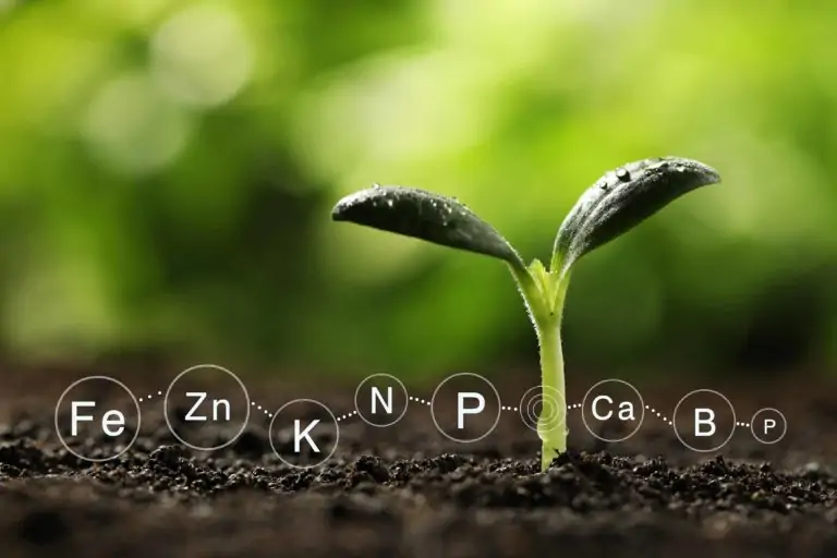 agtech header