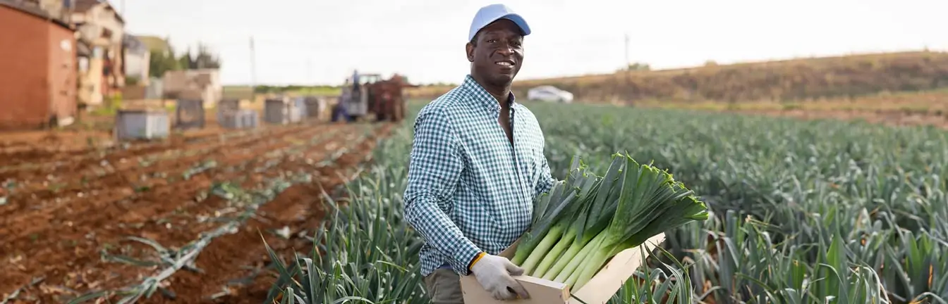 agribusiness in nigeria header