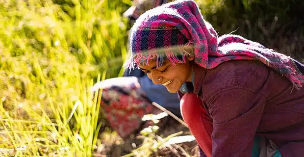 gender equality in agriculture benefit 2