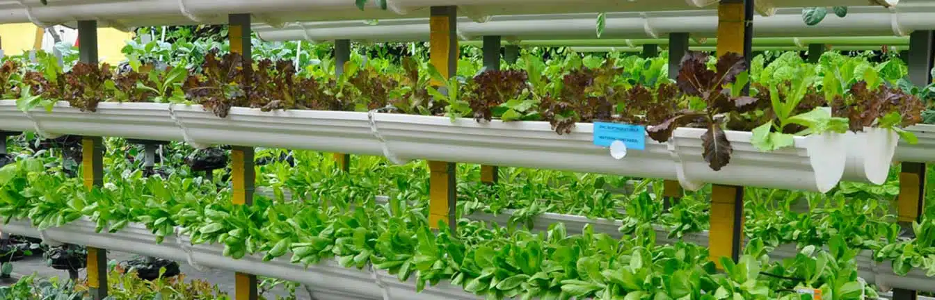 vertical farming systems header