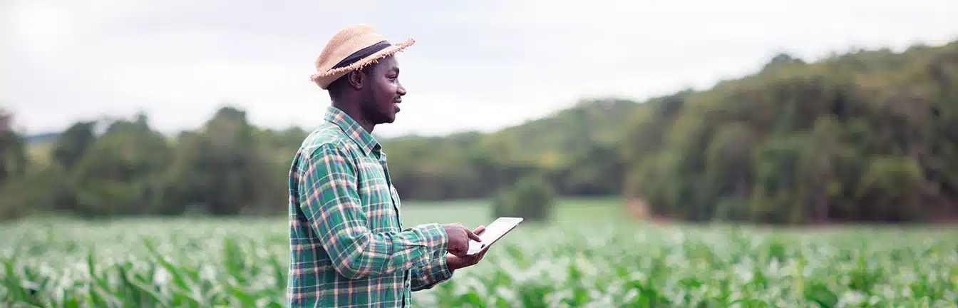 market linkages in agriculture header